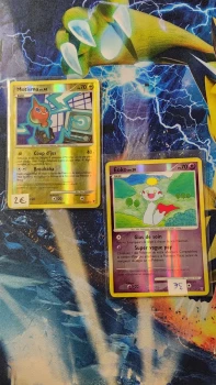 Lot Cartes Pokémon Reverse –  française vainqueurs suprême