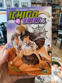 Ichigo 100% tome 6