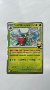 Roserade de cynthia 8/182 Rivalités destinées