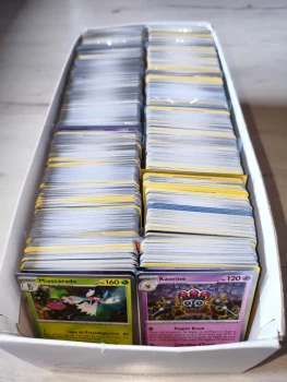 100 cartes Pokémon FR