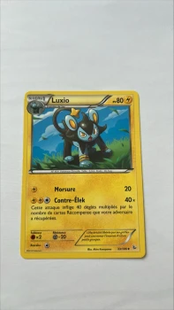 Luxio 33/106 Etincelles
