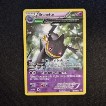 Carte Pokemon : Branette - Ciel Rugissant