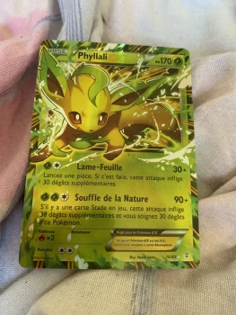 Carte Pokémon EX