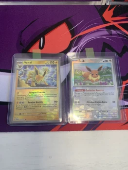 Evoli poke / Voltali poke