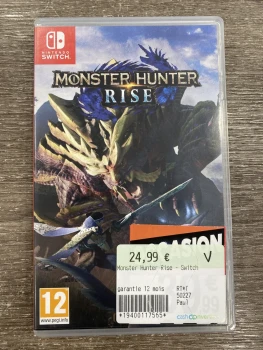 Monster hunter rise switch