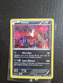 Yveltal holographique 65/114