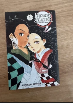 Demon Slayer – Tome 1 (ÉDITION LIMITÉE) –