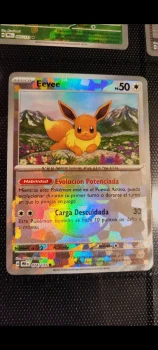Evoli Master esp