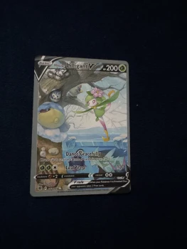Cartes Pokemon