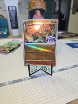 Lot goupix version CH