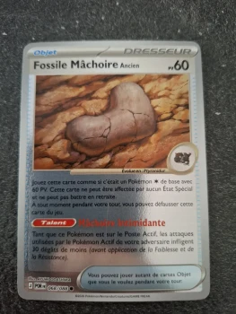 Fossile mâchoire reverse