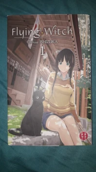 Flying Witch