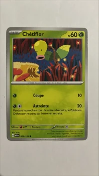 Chétiflor 69/165 de 151