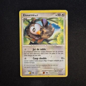 Carte Pokemon : Etourmi - Tempête
