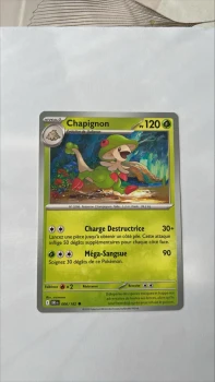 Chapignon 6/182 Rivalité destinées