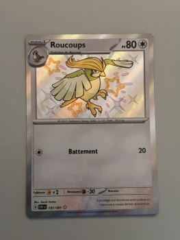 Roucoups shiny - 197/091