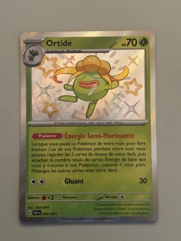 Ortide - 093/091