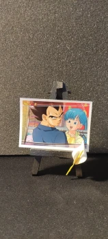 Stickers panini Dragon Ball, numéro : 49
