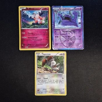 Cartes Pokemon : XY