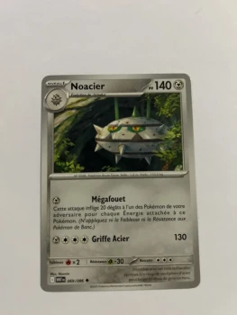 Noacier 69/86 Flamme blanche