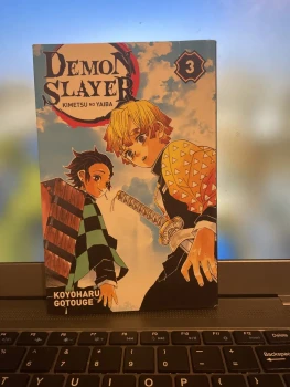 Démon slayer tome 3