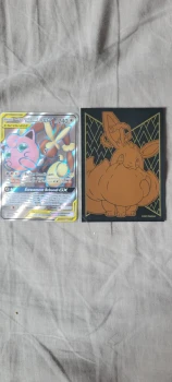 Méga-lockpin et roudoudou GX escade full art 240pv