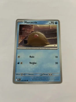 Marcacrin 23/94 flammes fantasmagorique