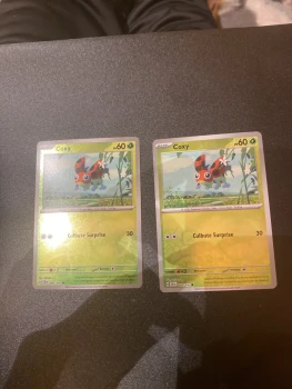 Coxy reverse 002/142