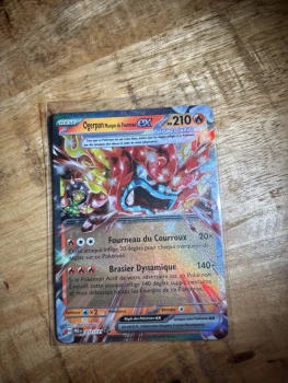 Carte Pokémon