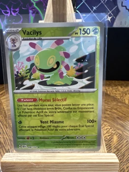 Vacilys FR