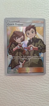 Pokemon Chartor 237/236