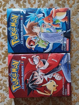 Manga Pokémon: Une grande Aventure
