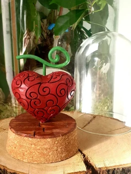 Diorama Fruit du Démon Ope Ope no Mi one piece sous cloche