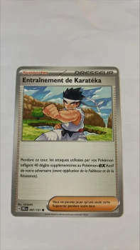Entrainement de Karatéka 97/131 Evolutions prismatiques