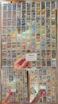 Lot de 250 carte Gradé Pokémon XY Noir et Blanc