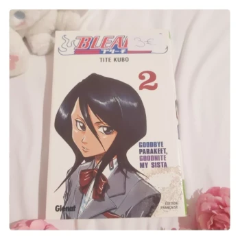 Manga Bleach tome 2