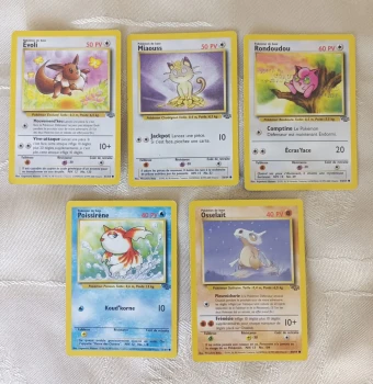 Lot Cartes Pokémon Wizard Jungle TTB