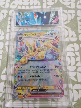 Carte Gradée Jolteon Ex (VOLTALI) Terastal Festival ex (052/187) 2024 JAP C'AURA