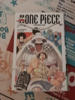 One Piece tome 17