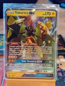 Carte pokemon tokorico