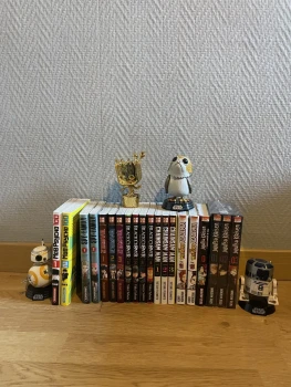 Lots mangas figurine