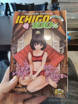 Ichigo 100 % tome 13