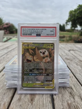 Carte pokemon : brindibou et noadkoko gx