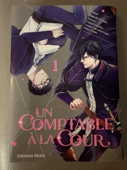 Un comptable à la cour tome 1
