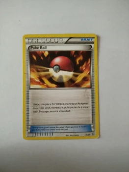 Vend Dresseur Poke Ball 2013