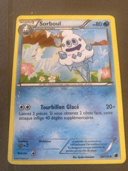 Carte Pokémon sorboul