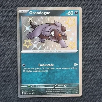 Carte pokemon Grondogue Shiny PROMO SVP 071 - EV4.5  Destinées de Paldea (2024)