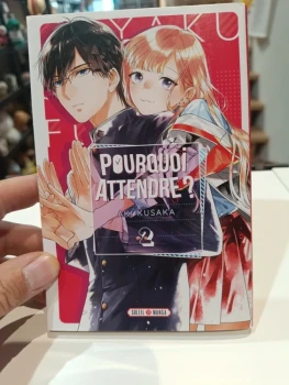 Pourquoi attendre ? Tome 2