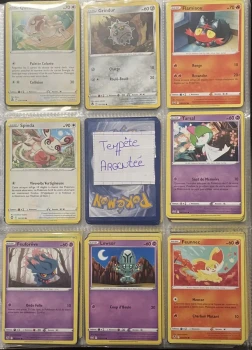 Carte Pokémon Tempête Argentée🌪️