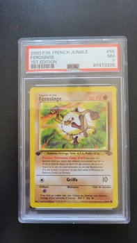 Pokémon PSA 7 Ferosinge 55/64 Édition 1 NM 🤩 Jungle PCA CCC
